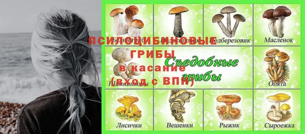 прущий лед Аркадак