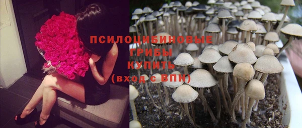 МДПВ Армянск