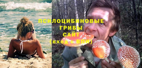 прущий лед Аркадак